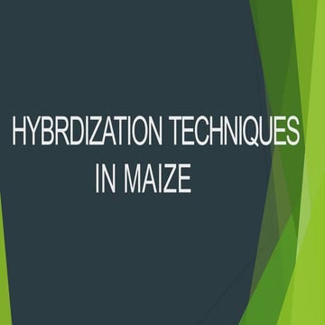Exercise 2 emasculation and hybridization in maize