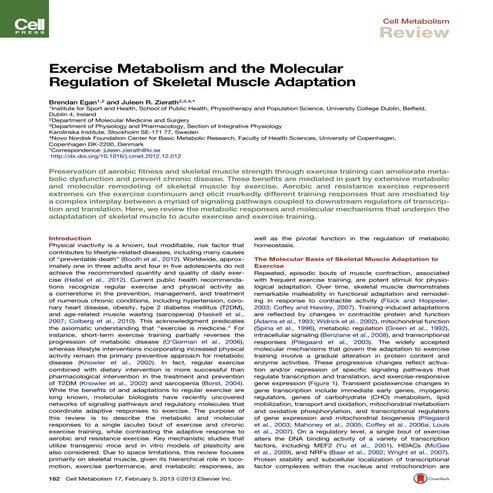 Exercise metabolism and the molecular regulation of skeletal muscle adaptation