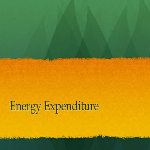 Exercise physiology 5