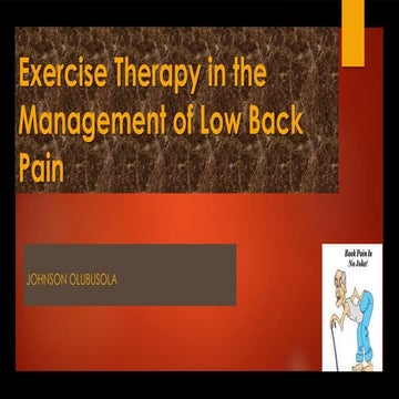 Exercise Therapy in the Management of Low Back Pain