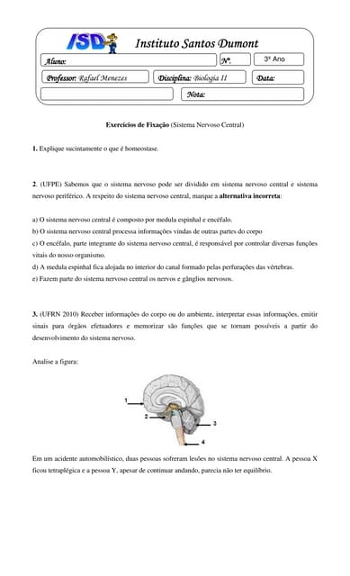 Exercicio de Sistema Nervoso