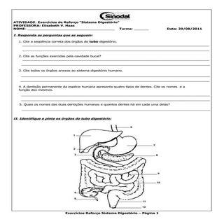 Exercícios de Ciências extras