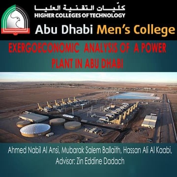 EXERGOECONOMIC ANALYSIS