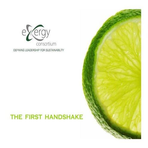 Exergy Consortium Introduction