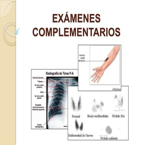 Exámenes complementarios