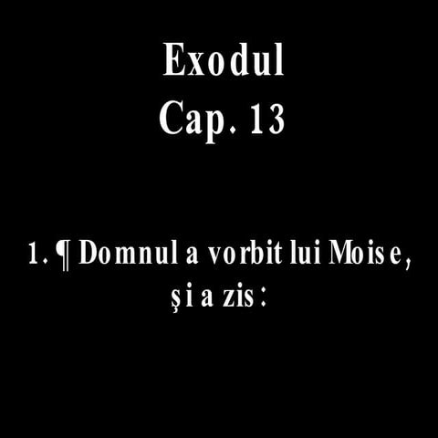Exod 13