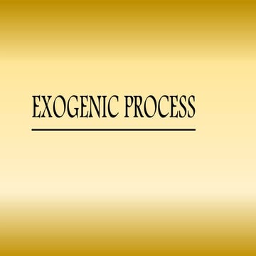 EXOGENIC PROCESS PPT