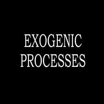 Exogenic Processes