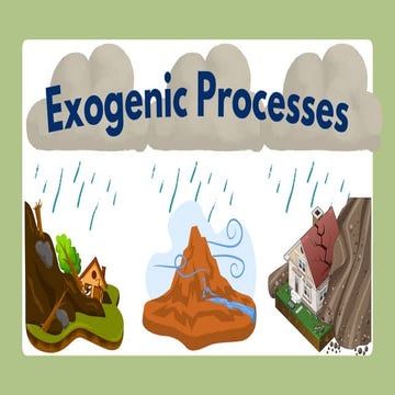 EXOGENIC PROCESSES-SUMMARY ONLY (GRADE 11) | PDF