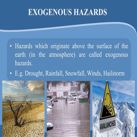 Exogenous disasters    cyclones