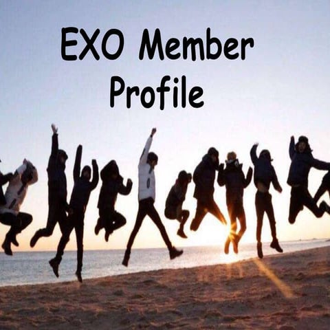 EXO Member Profile