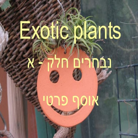 Exotic Plants 1