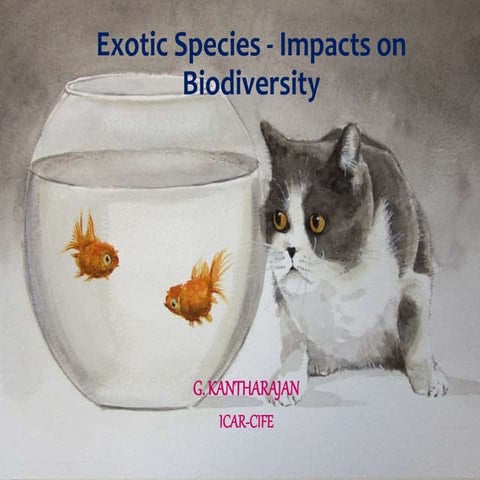Exotic species  - impact on biodiversity