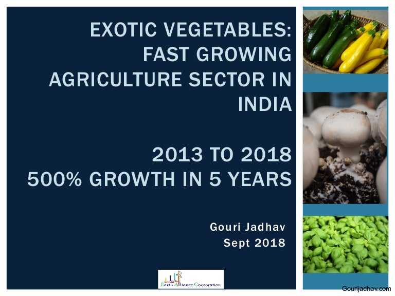 Exotic vegetables 500 growth In India (by Gouri Jadhav)