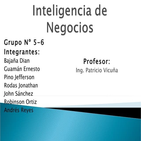 Exposicion Business Intelligence
