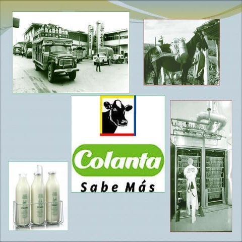 Exp.colanta | PPT