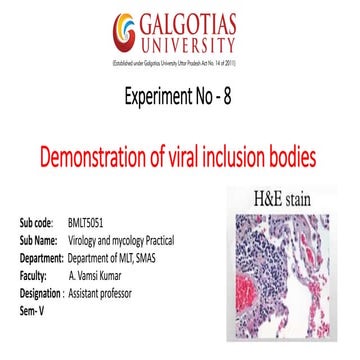 Demonstration of viral inclusion bodies 