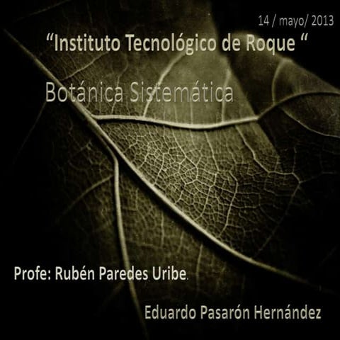 sistema de cronquist | PPTX