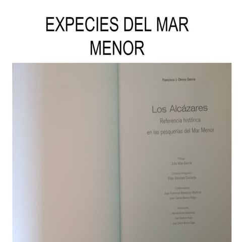 ESPECIES DEL MAR MENOR