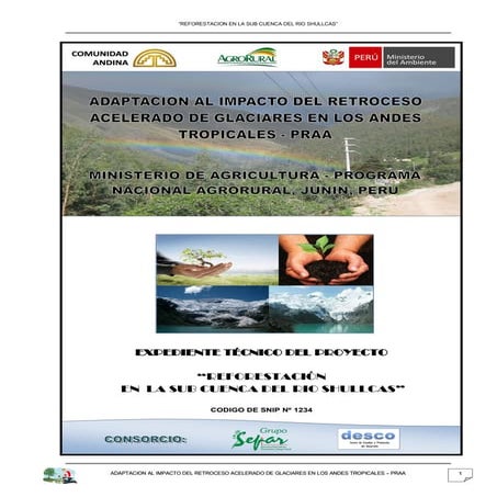 Expediente tec. shulcas  31052010 corregido final separ