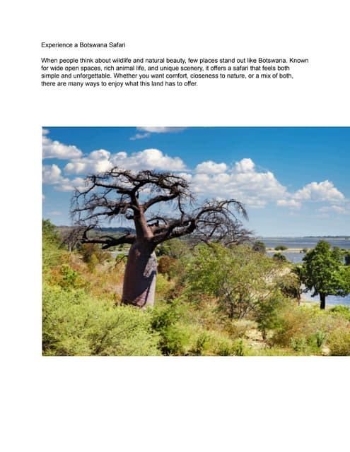 Experience a Botswana Safari.       .pdf