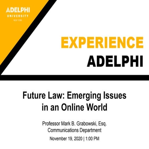 Experience Adelphi: Emerging legal issues in an online world