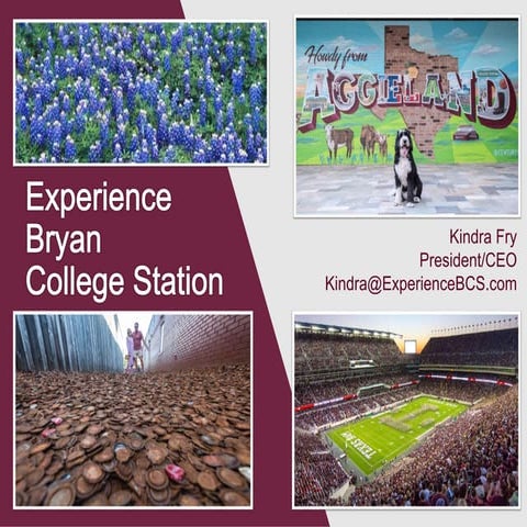 Experience BCS Update | PPTX