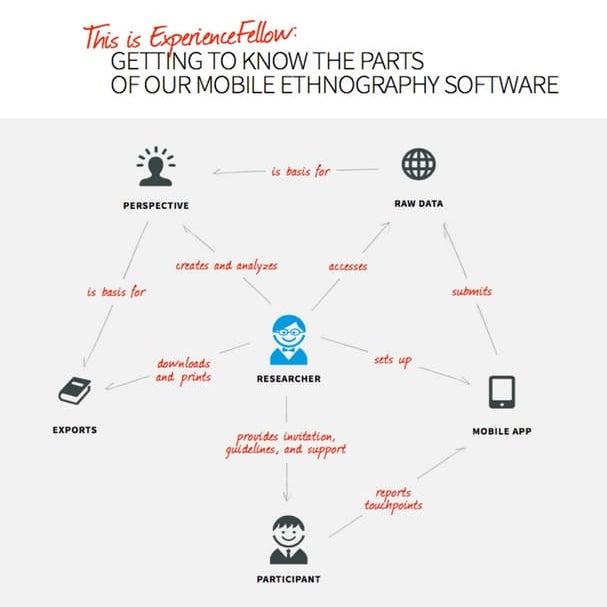 ExperienceFellow infographic: these are the parts of the feedback software