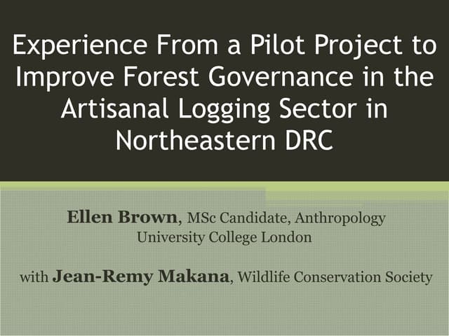 thumbnail of  Experience from a pilot project to improve forest governance in the artisanal logging sector in northeastern DRC