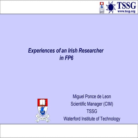 Experiences of an Irish Researcher in FP6