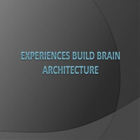 Experiences build brain architecture in child