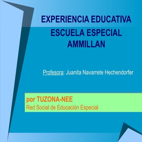 Experiencia Educativa Ammillan