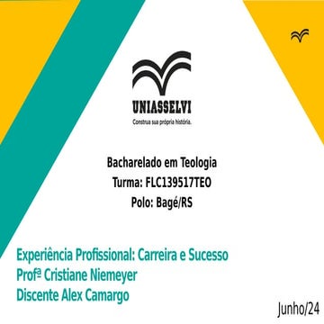 Experiencia Profissional - Carreira e Sucesso (TEOLOGIA/UNIASSELVI)