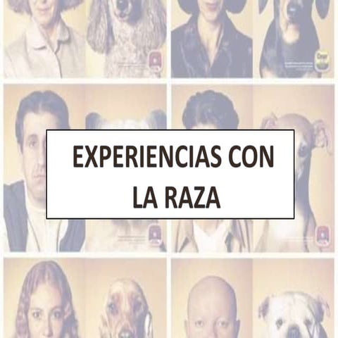 Experiencias con la raza