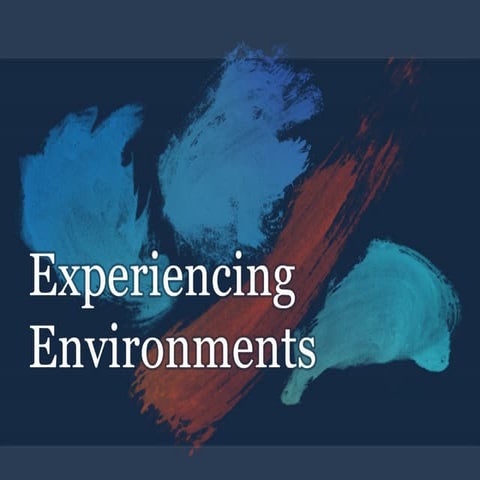 Experiencing Environments