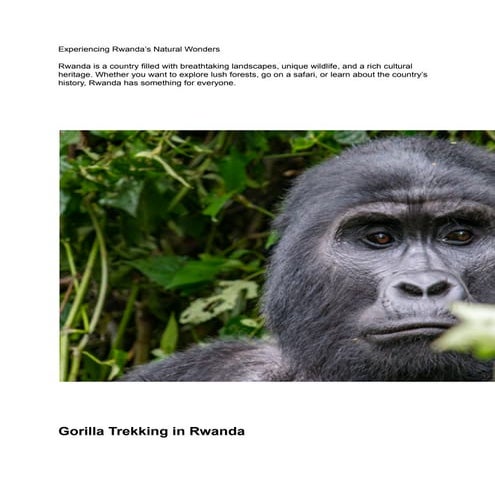 Experiencing Rwanda’s Natural Wonders.pdf