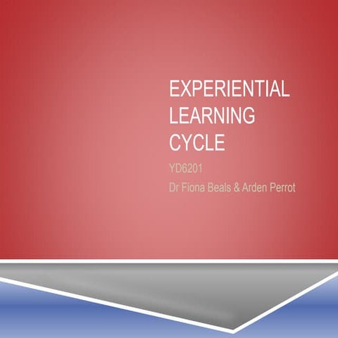 Experiential learning cycle