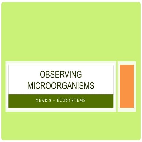 Experiment: Observing microorganisms