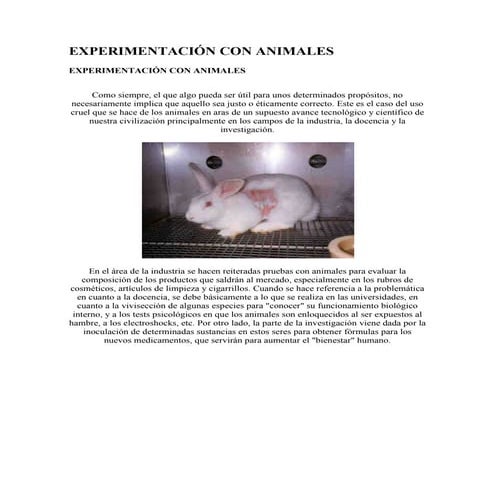 Experimentación con animales