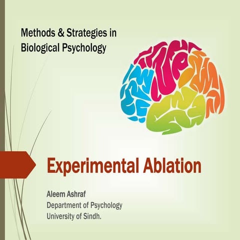 Experimental Ablation