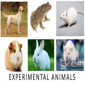 Experimental Animals used in Pharmacology and Toxicology