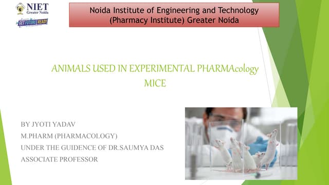 Correct handling of laboratory Rats ppt.pptx