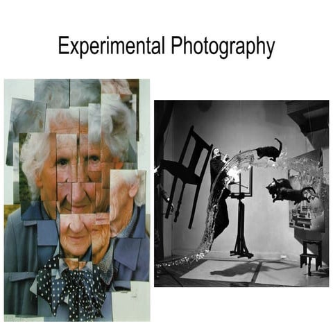 Experimental photography artist_research