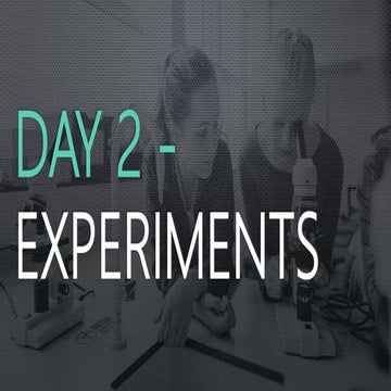 Experimental Variables | PPTX