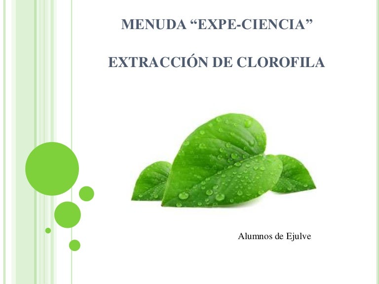 Extraemos clorofila