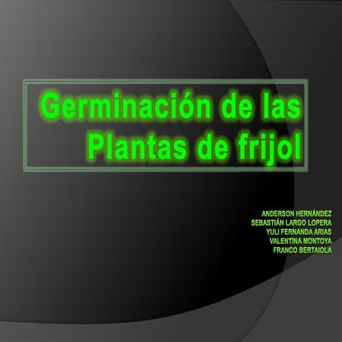 Experimento de las plantas (1) (1)