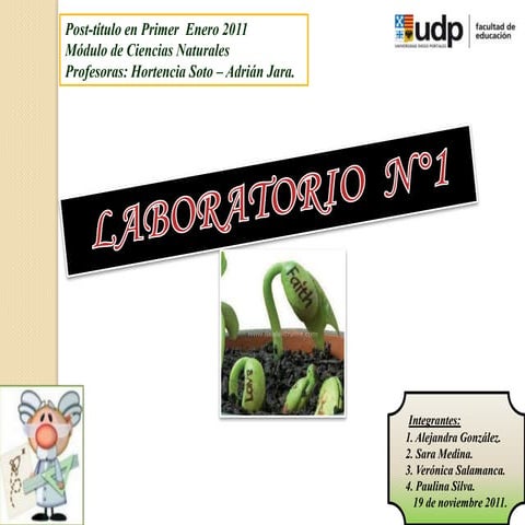 Experimento germinación de una semilla