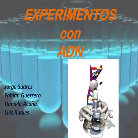 Experimentos adn