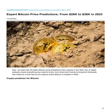 Expert Bitcoin Price Predictions From 20K to 38K in 2023.pdf