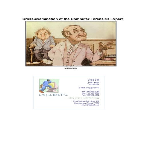 Forensic Expert Cross Examination